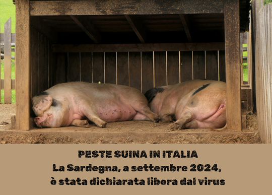 peste suina sardegna libera.png